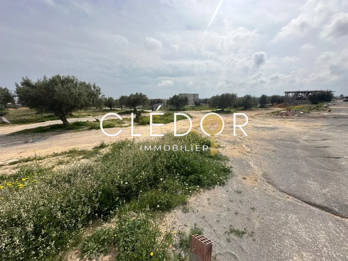 Terrain de 600 m² à Besbassia Hammamet